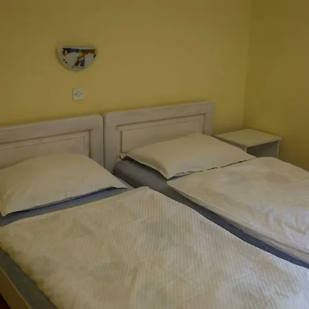 Guest house Ivo 3*